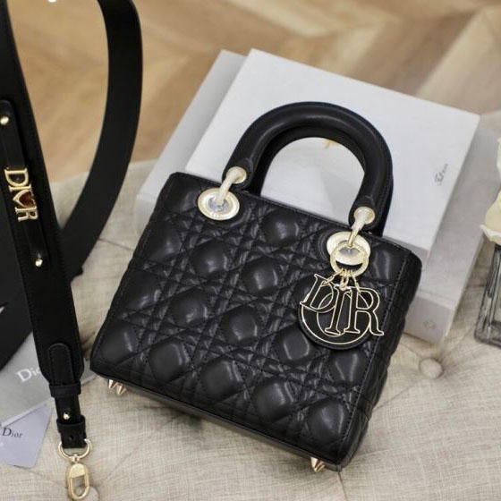 Christian Dior My Lady Bags - Click Image to Close